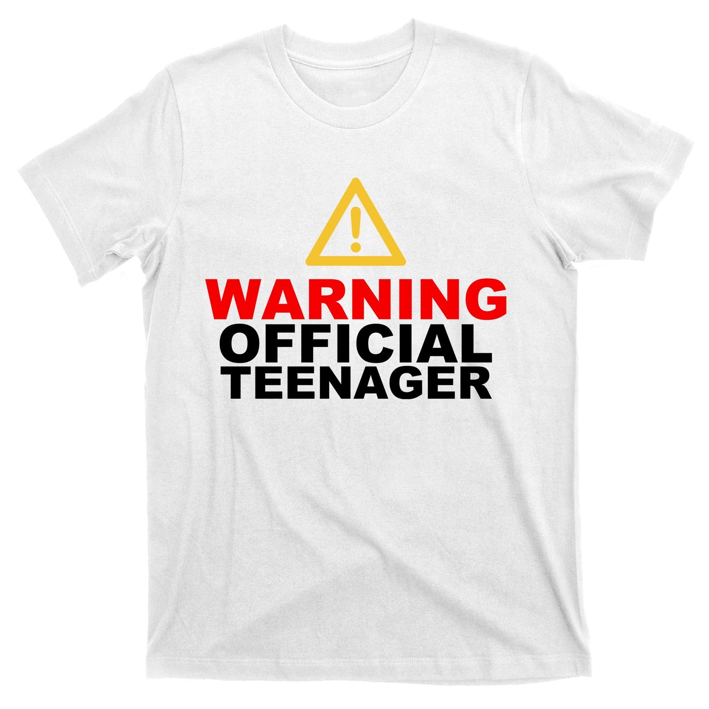 Warning Official Teenager 13th Birthday T-Shirt