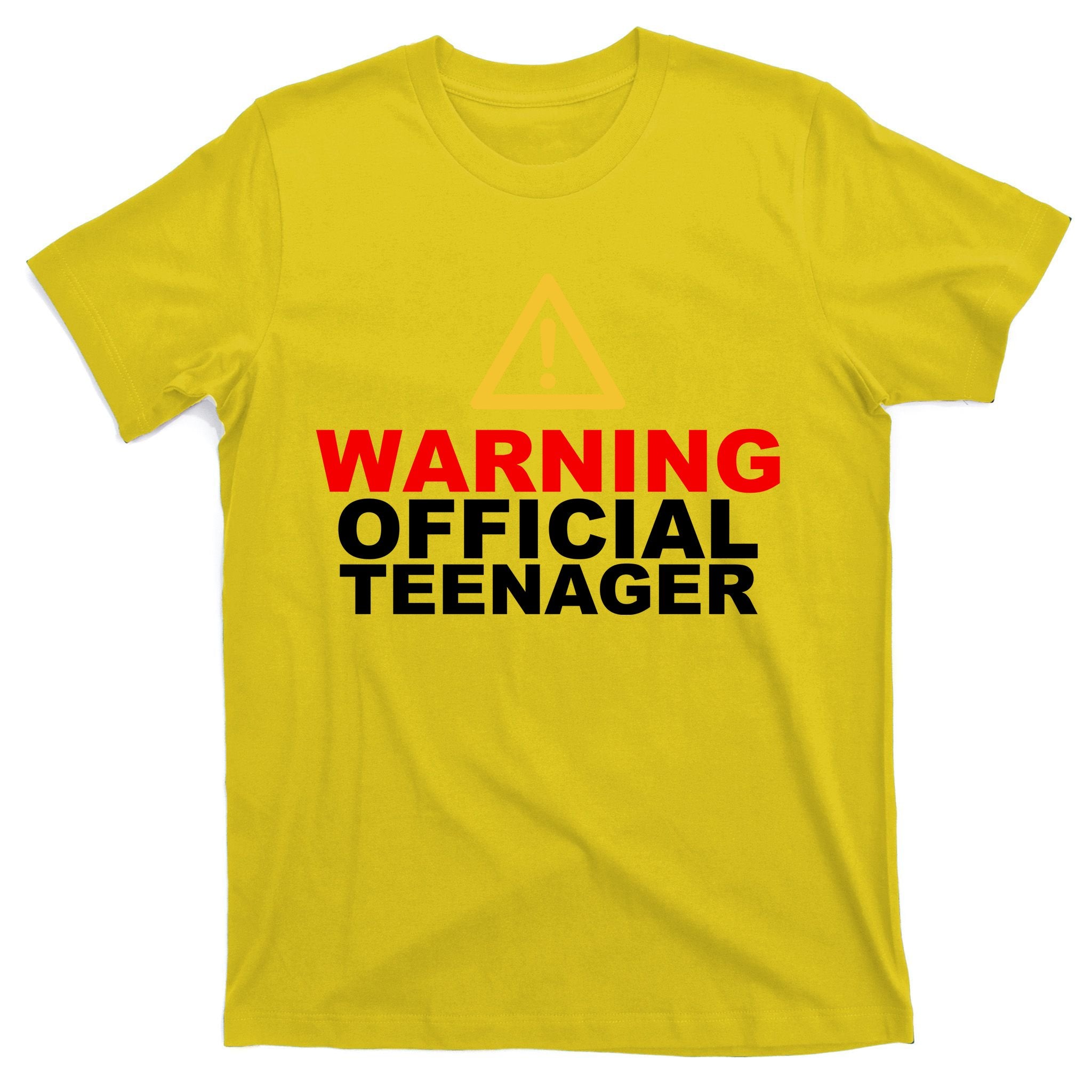 Warning Official Teenager 13th Birthday T-Shirt